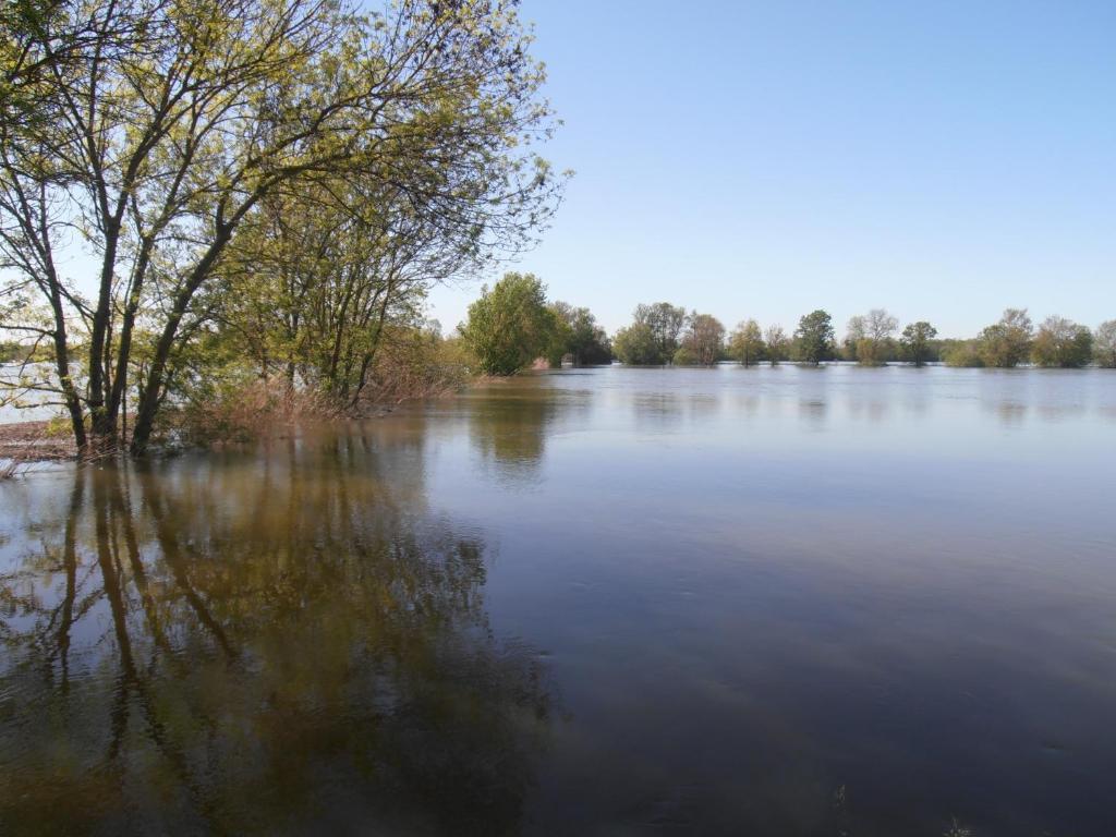 Chateau Sainte Marie Hotell Dompierre-sur-Charente Eksteriør bilde